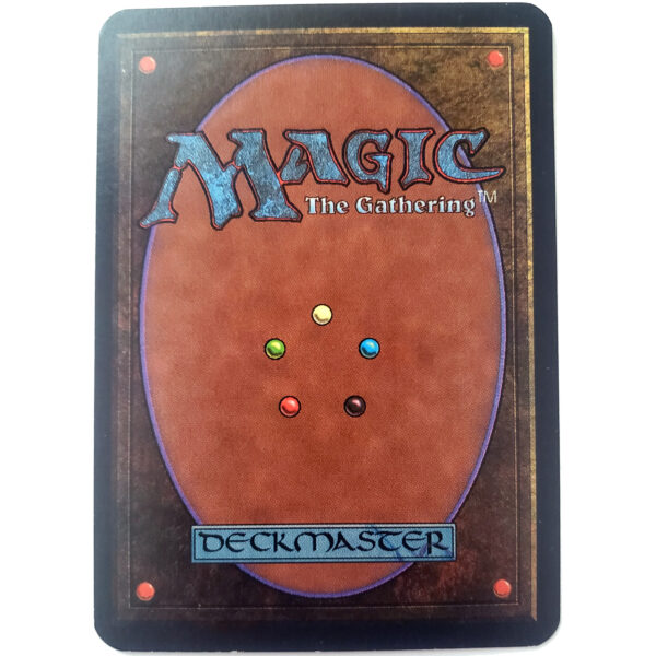 Animate Artifact - Limited Edition Alpha - Back